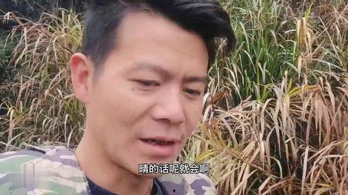 牛不啦二嫂最新爆料,揭秘娱乐圈惊人内幕 第1张 牛不啦二嫂最新爆料,揭秘娱乐圈惊人内幕 第1张